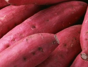 红薯的营养价值及保健作用