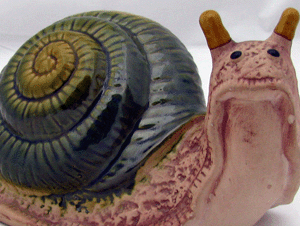 蜗牛的营养价值与做法