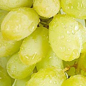 马奶子葡萄的主要营养成分